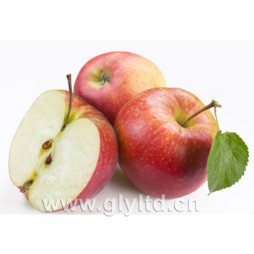 Golden Supplier for Chinese Fresh Red Apple